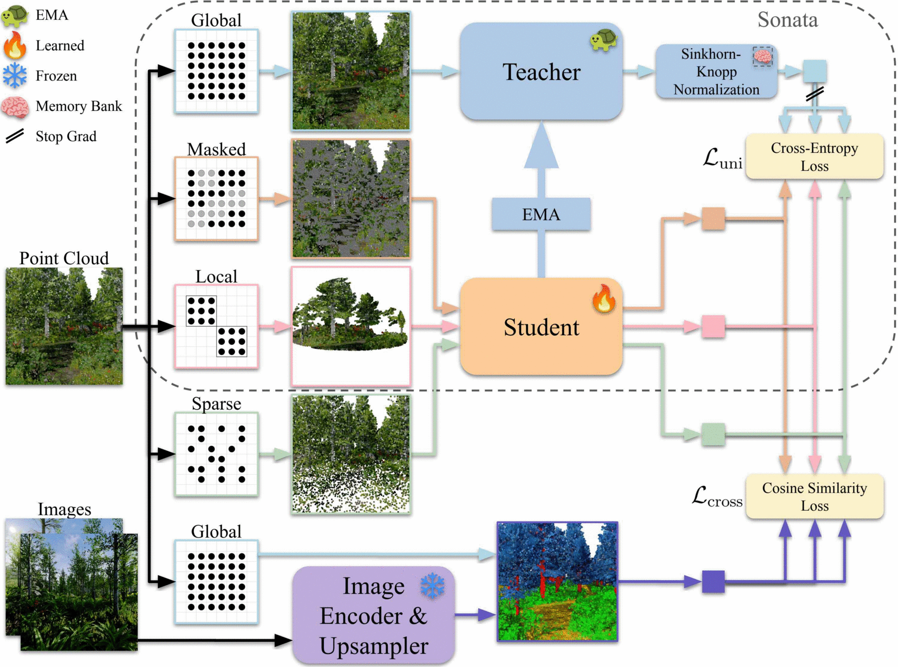 Vernata framework overview. Two teachers process global views of the scene: a 3D teacher (top) using a PTv3 encoder updated by EMA, and a frozen 2D teacher (bottom) producing DINOv2 features upsampled with LoftUp and backprojected into the point cloud. The student receives masked, local, and sparse-subsampled views; it is aligned to the 3D teacher via cross-entropy loss and to the 2D teacher via cosine similarity. The base Sonata framework is highlighted in gray.